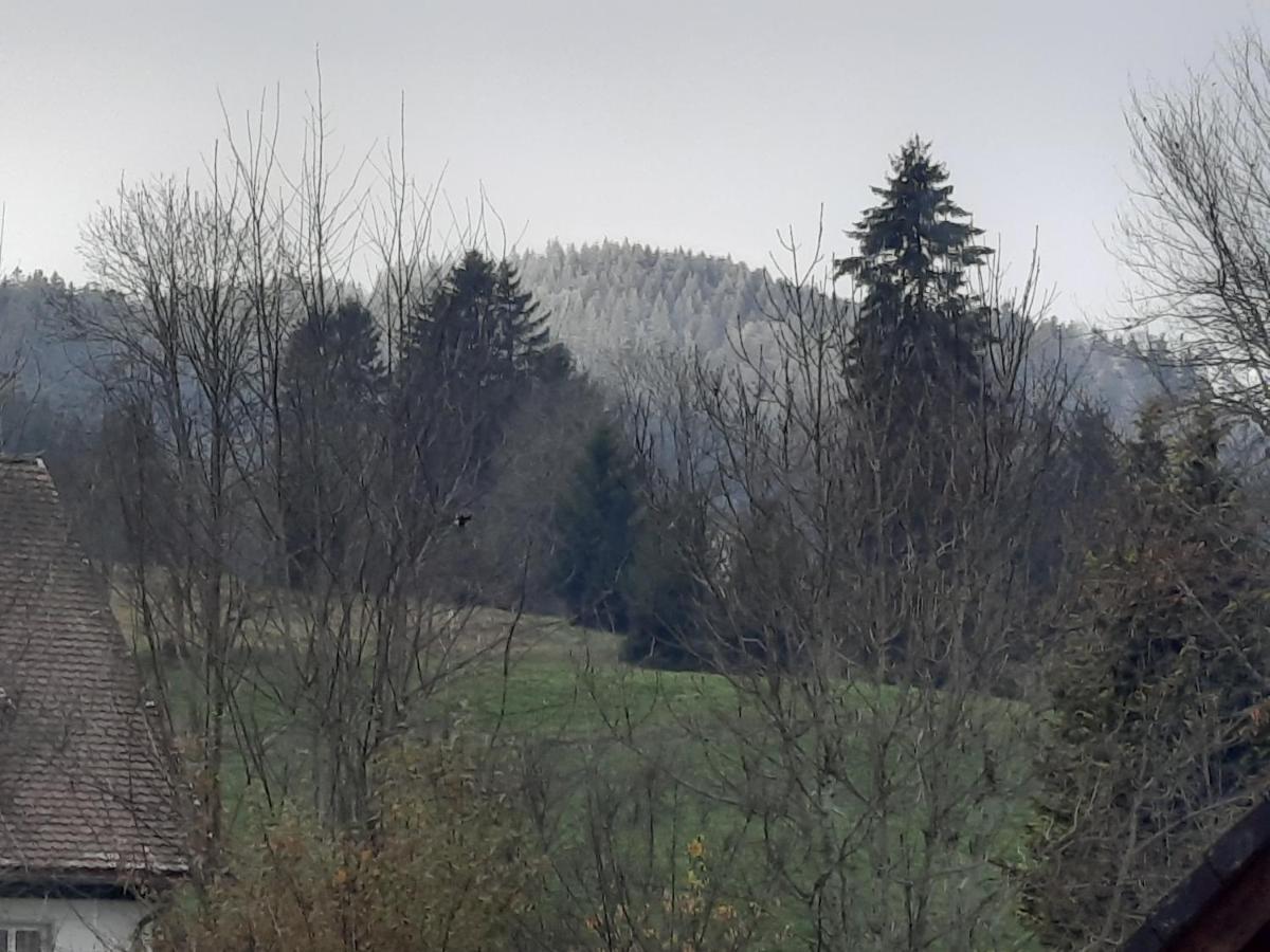 Ferienhaus Ketterer Hinterzarten Exteriör bild